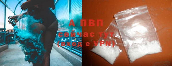 прущие крисы Богданович