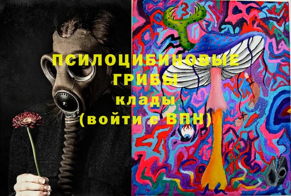 ешки Богородск