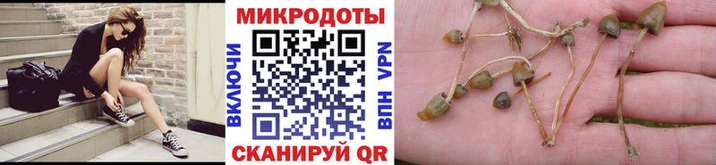 Псилоцибиновые грибы Cubensis  мориарти какой сайт  Горнозаводск  ссылка на мегу вход 